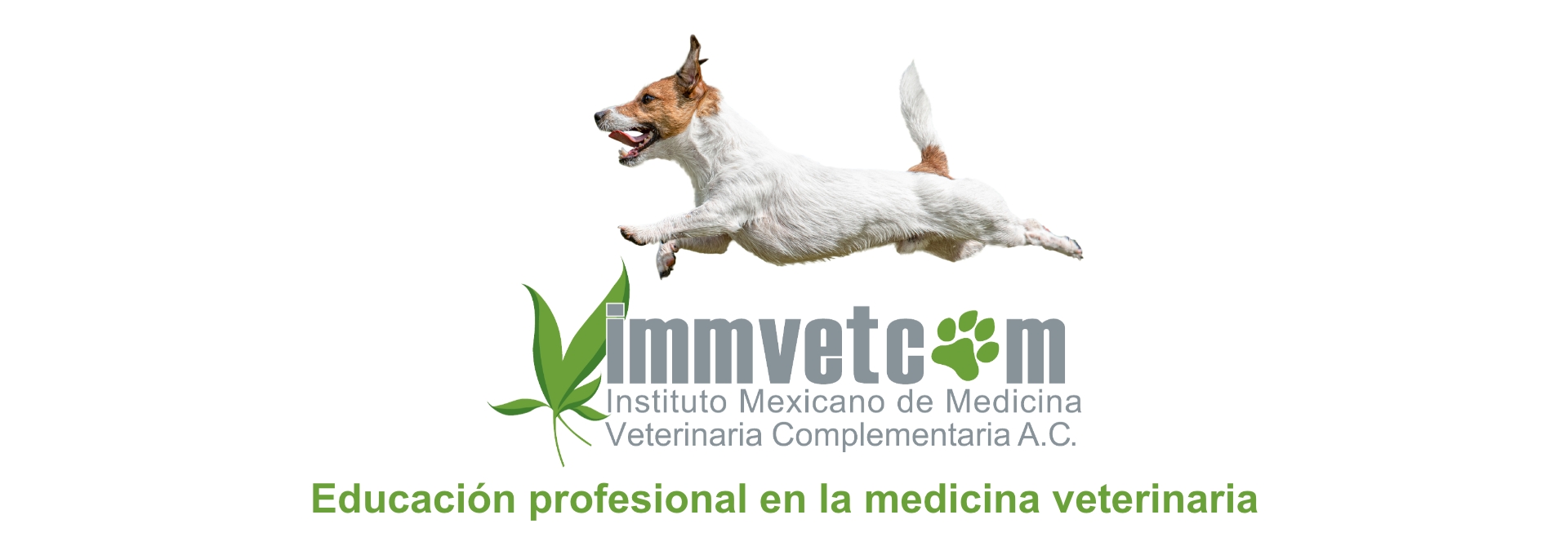 Educación profesional en la medicina veterinaria