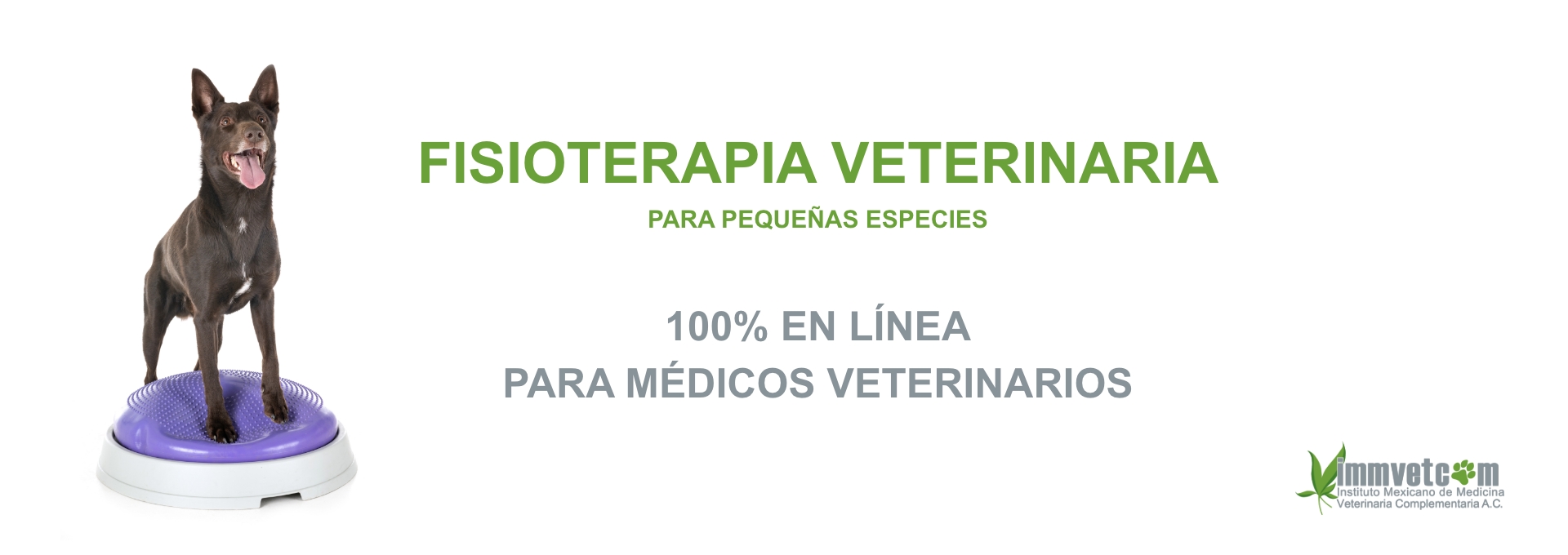 Fisioterapia Veterinaria
